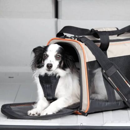 Hundetragtasche